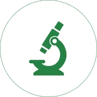 Drcení
